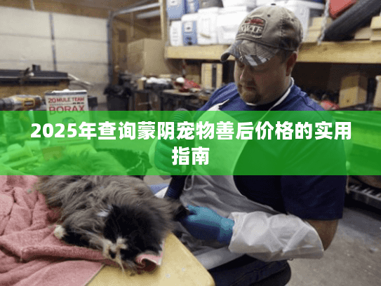 2025年查询蒙阴宠物善后价格的实用指南 2025年查询蒙阴宠物善后价格的实用指南
