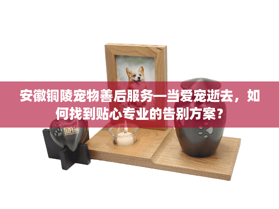 安徽铜陵宠物善后服务—当爱宠逝去,如何找到贴心专业的告别方案? 安徽铜陵宠物善后服务—当爱宠逝去,如何找到贴心专业的告别方案?