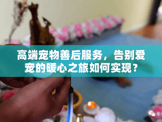 高端宠物善后服务，告别爱宠的暖心之旅如何实现？