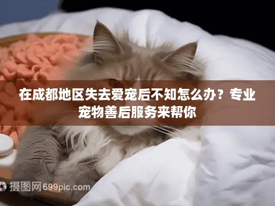 在成都地区失去爱宠后不知怎么办?专业宠物善后服务来帮你 在成都地区失去爱宠后不知怎么办?专业宠物善后服务来帮你