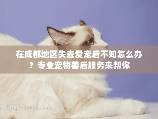 在成都地区失去爱宠后不知怎么办?专业宠物善后服务来帮你 在成都地区失去爱宠后不知怎么办?专业宠物善后服务来帮你