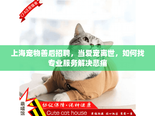 上海宠物善后招聘,当爱宠离世,如何找专业服务解决悲痛 上海宠物善后招聘,当爱宠离世,如何找专业服务解决悲痛