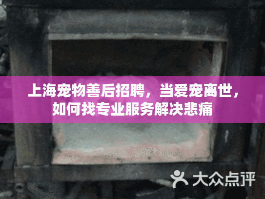 上海宠物善后招聘,当爱宠离世,如何找专业服务解决悲痛 上海宠物善后招聘,当爱宠离世,如何找专业服务解决悲痛