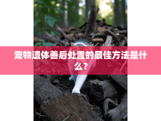 宠物遗体善后处置的最佳方法是什么？