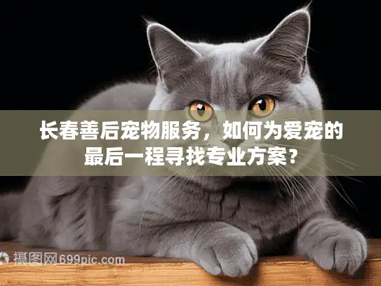 长春善后宠物服务,如何为爱宠的最后一程寻找专业方案? 长春善后宠物服务,如何为爱宠的最后一程寻找专业方案?