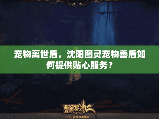 宠物离世后，沈阳图灵宠物善后如何提供贴心服务？