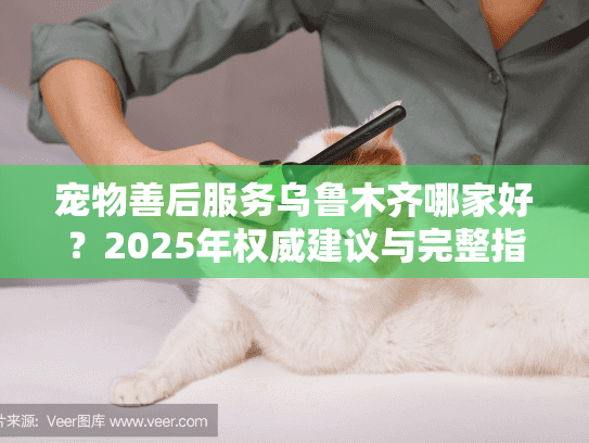 宠物善后服务乌鲁木齐哪家好？2025年权威建议与完整指南