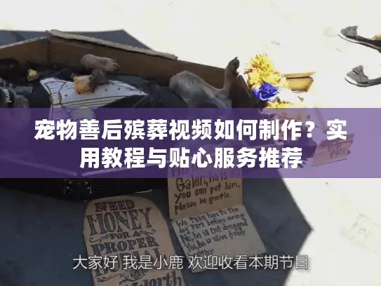 宠物善后殡葬视频如何制作?实用教程与贴心服务推荐 宠物善后殡葬视频如何制作?实用教程与贴心服务推荐