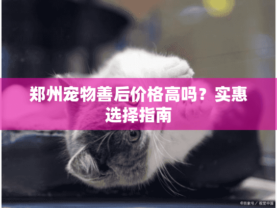郑州宠物善后价格高吗?实惠选择指南 郑州宠物善后价格高吗?实惠选择指南