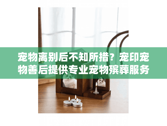 宠物离别后不知所措？宠印宠物善后提供专业宠物殡葬服务解决方案