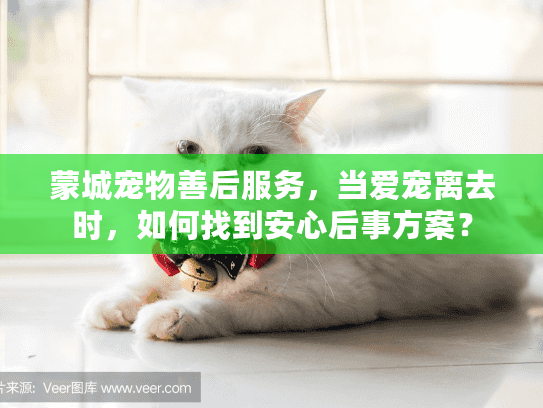 蒙城宠物善后服务，当爱宠离去时，如何找到安心后事方案？