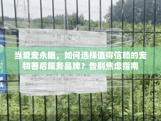 当爱宠永眠，如何选择值得信赖的宠物善后服务品牌？告别焦虑指南