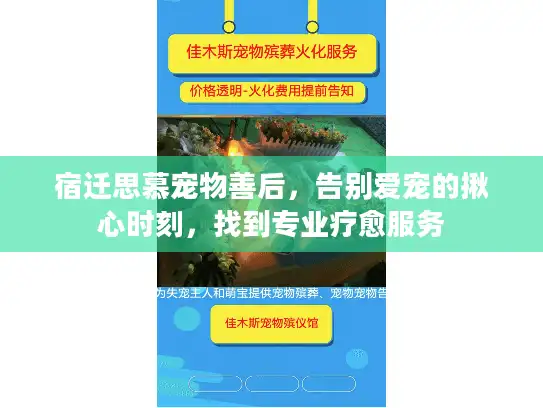 宿迁思慕宠物善后,告别爱宠的揪心时刻,找到专业疗愈服务 宿迁思慕宠物善后,告别爱宠的揪心时刻,找到专业疗愈服务