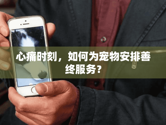 心痛时刻,如何为宠物安排善终服务? 心痛时刻,如何为宠物安排善终服务?