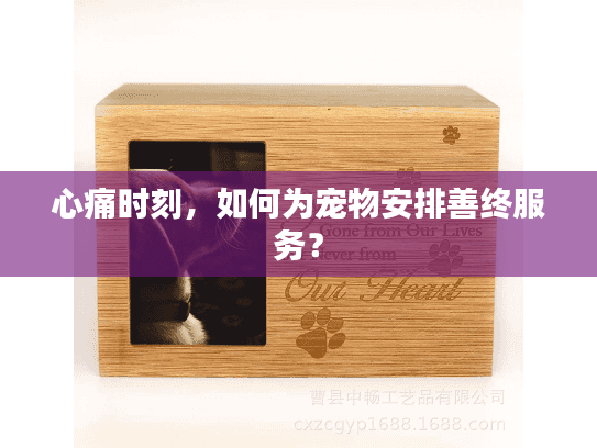 心痛时刻,如何为宠物安排善终服务? 心痛时刻,如何为宠物安排善终服务?