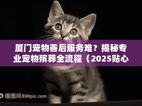 厦门宠物善后服务难?揭秘专业宠物殡葬全流程(2025贴心指南) 厦门宠物善后服务难?揭秘专业宠物殡葬全流程(2025贴心指南)
