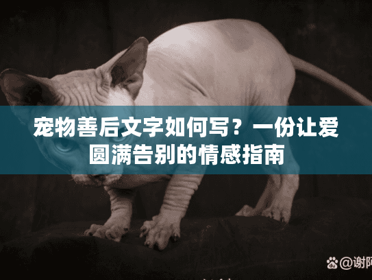 宠物善后文字如何写？一份让爱圆满告别的情感指南