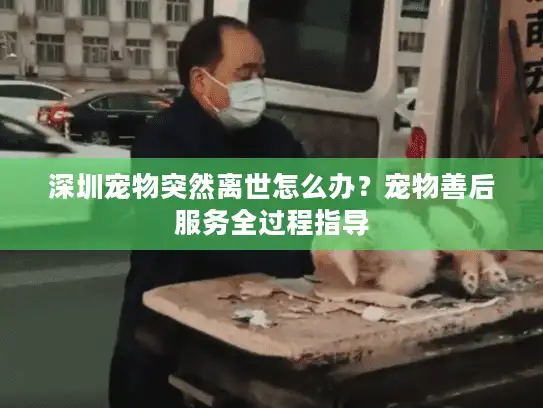 深圳宠物突然离世怎么办？宠物善后服务全过程指导