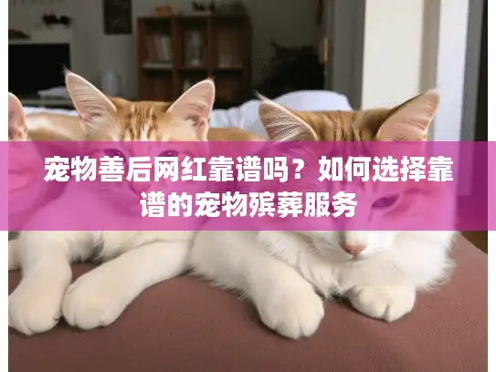 宠物善后网红靠谱吗？如何选择靠谱的宠物殡葬服务