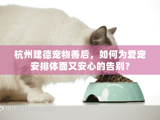 杭州建德宠物善后,如何为爱宠安排体面又安心的告别? 杭州建德宠物善后,如何为爱宠安排体面又安心的告别?