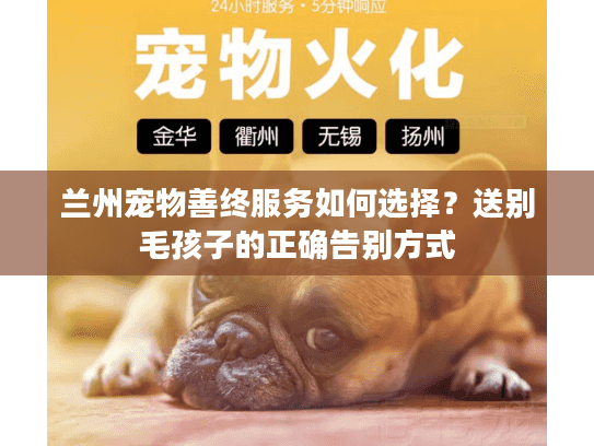 兰州宠物善终服务如何选择?送别毛孩子的正确告别方式 兰州宠物善终服务如何选择?送别毛孩子的正确告别方式