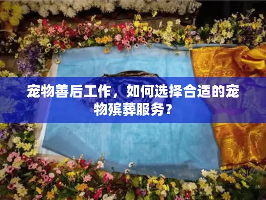 宠物善后工作，如何选择合适的宠物殡葬服务？