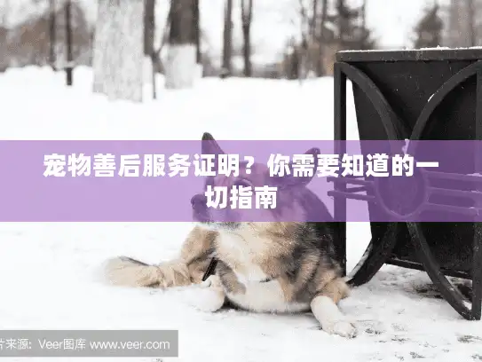 宠物善后服务证明?你需要知道的一切指南 宠物善后服务证明?你需要知道的一切指南