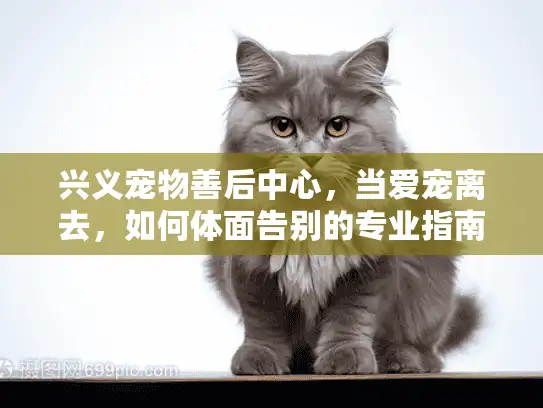 兴义宠物善后中心，当爱宠离去，如何体面告别的专业指南