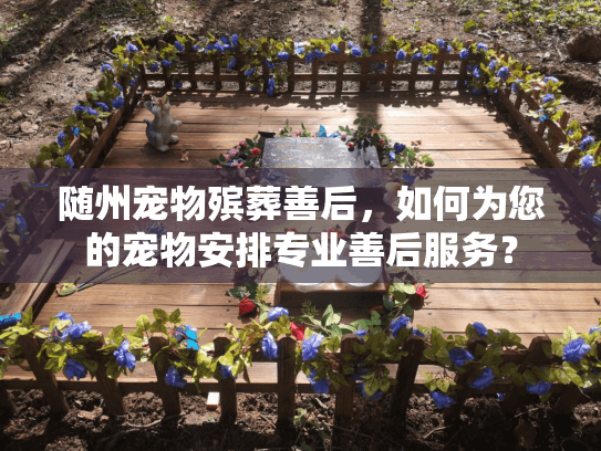 随州宠物殡葬善后,如何为您的宠物安排专业善后服务? 随州宠物殡葬善后,如何为您的宠物安排专业善后服务?
