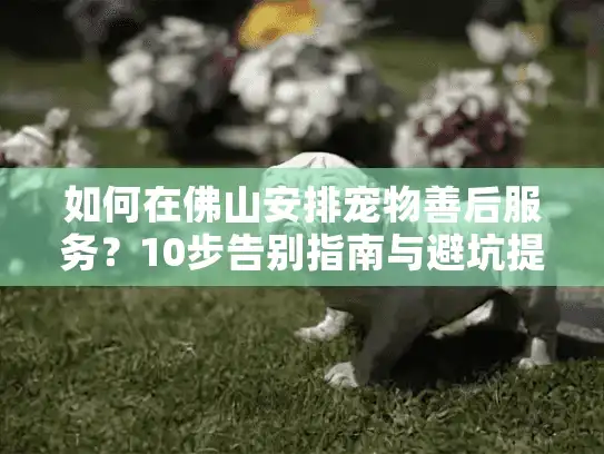 如何在佛山安排宠物善后服务?10步告别指南与避坑提醒 如何在佛山安排宠物善后服务?10步告别指南与避坑提醒