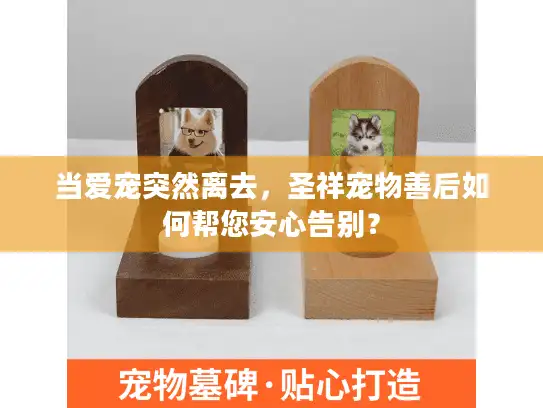 当爱宠突然离去,圣祥宠物善后如何帮您安心告别? 当爱宠突然离去,圣祥宠物善后如何帮您安心告别?