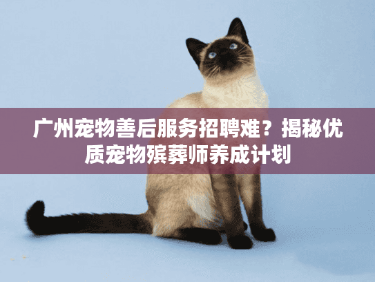 广州宠物善后服务招聘难？揭秘优质宠物殡葬师养成计划