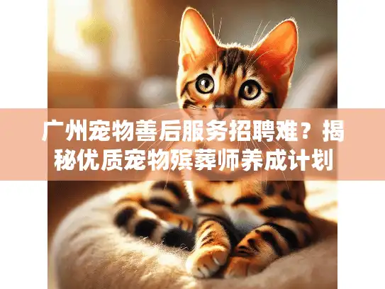 广州宠物善后服务招聘难？揭秘优质宠物殡葬师养成计划