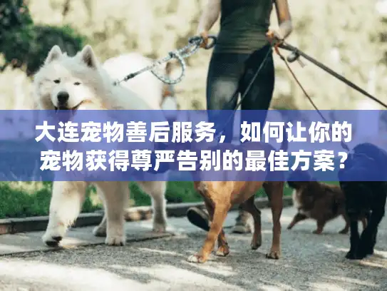 大连宠物善后服务，如何让你的宠物获得尊严告别的最佳方案？