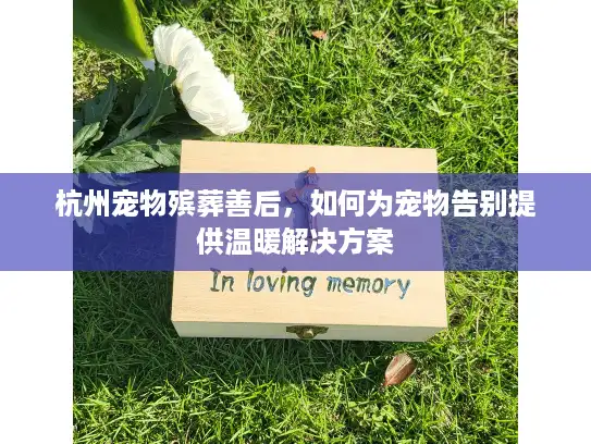 杭州宠物殡葬善后，如何为宠物告别提供温暖解决方案