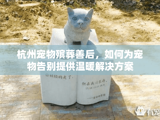 杭州宠物殡葬善后，如何为宠物告别提供温暖解决方案