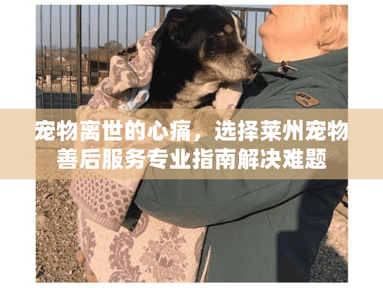 宠物离世的心痛，选择莱州宠物善后服务专业指南解决难题