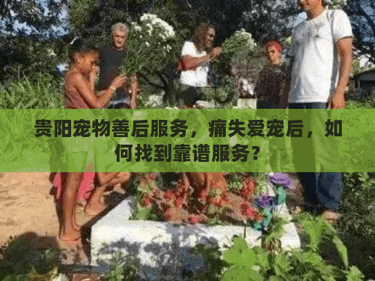 贵阳宠物善后服务，痛失爱宠后，如何找到靠谱服务？
