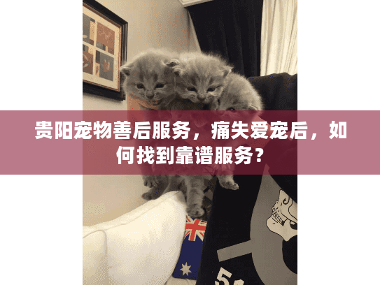贵阳宠物善后服务，痛失爱宠后，如何找到靠谱服务？