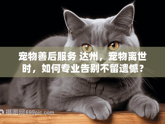 宠物善后服务 达州，宠物离世时，如何专业告别不留遗憾？