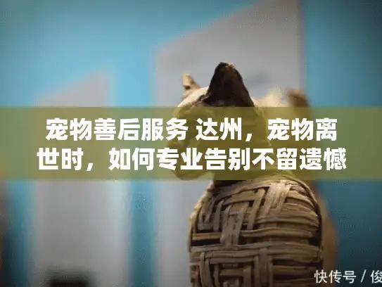 宠物善后服务 达州，宠物离世时，如何专业告别不留遗憾？