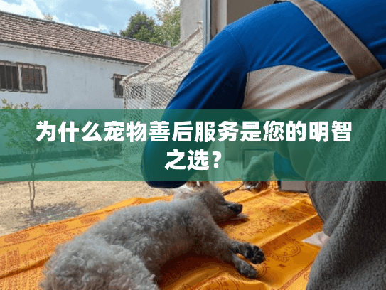 为什么宠物善后服务是您的明智之选？
