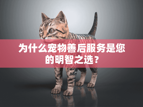 为什么宠物善后服务是您的明智之选？