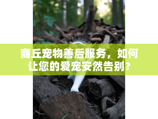 商丘宠物善后服务,如何让您的爱宠安然告别? 商丘宠物善后服务,如何让您的爱宠安然告别?