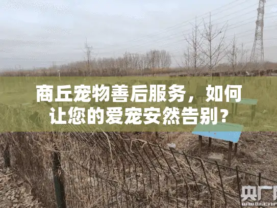 商丘宠物善后服务,如何让您的爱宠安然告别? 商丘宠物善后服务,如何让您的爱宠安然告别?