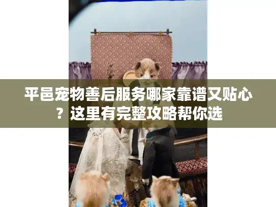 平邑宠物善后服务哪家靠谱又贴心？这里有完整攻略帮你选