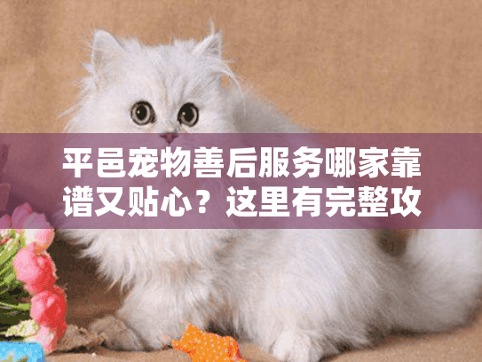 平邑宠物善后服务哪家靠谱又贴心？这里有完整攻略帮你选