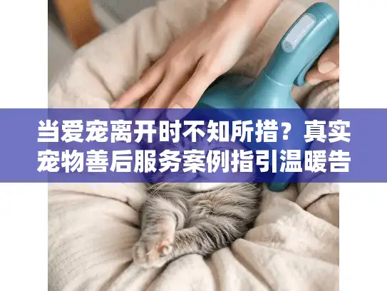 当爱宠离开时不知所措?真实宠物善后服务案例指引温暖告别路 当爱宠离开时不知所措?真实宠物善后服务案例指引温暖告别路