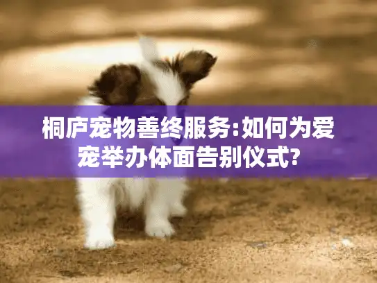 桐庐宠物善终服务:如何为爱宠举办体面告别仪式? 桐庐宠物善终服务:如何为爱宠举办体面告别仪式?