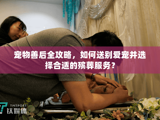 宠物善后全攻略,如何送别爱宠并选择合适的殡葬服务? 宠物善后全攻略,如何送别爱宠并选择合适的殡葬服务?
